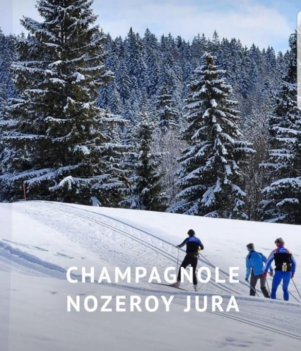 Gite Jura Mina Chalet Au Milieu De La Nature Villa Ney Buitenkant foto