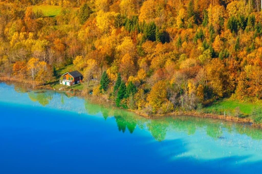Gite Jura Mina Chalet Au Milieu De La Nature Villa Ney Buitenkant foto