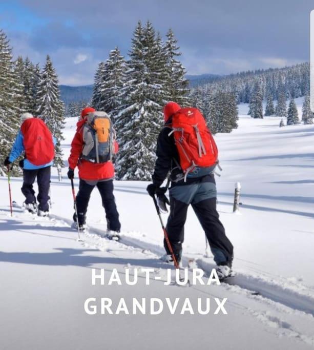 Gite Jura Mina Chalet Au Milieu De La Nature Villa Ney Buitenkant foto