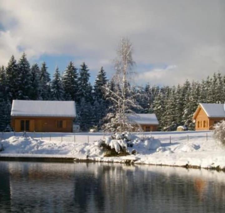 Gite Jura Mina Chalet Au Milieu De La Nature Villa Ney Buitenkant foto
